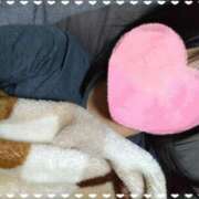 ヒメ日記 2025/05/03 21:17 投稿 かな ハロウィン