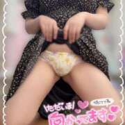 ヒメ日記 2025/09/12 11:11 投稿 みつき 虹色メロンパイ 横浜店