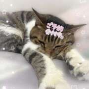 ヒメ日記 2025/10/20 14:07 投稿 みつき 虹色メロンパイ 横浜店