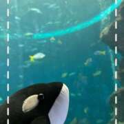 ヒメ日記 2026/03/11 18:24 投稿 みつき 虹色メロンパイ 横浜店