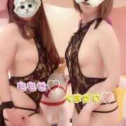 ヒメ日記 2025/03/19 14:09 投稿 百瀬 人妻楼 熊谷店