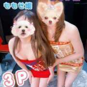 ヒメ日記 2026/08/02 15:35 投稿 百瀬 人妻楼 熊谷店