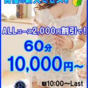 ヒメ日記 2024/12/19 14:00 投稿 みぃ～ ミセス・レヴォアール～再会～