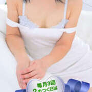 ヒメ日記 2025/02/12 13:00 投稿 みぃ～ ミセス・レヴォアール～再会～