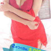 ヒメ日記 2025/04/02 11:00 投稿 みぃ～ ミセス・レヴォアール～再会～