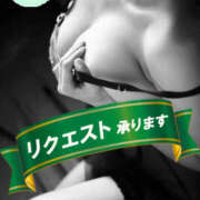 ヒメ日記 2025/06/20 12:00 投稿 みぃ～ ミセス・レヴォアール～再会～