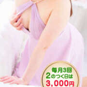 ヒメ日記 2025/11/12 09:00 投稿 みぃ～ ミセス・レヴォアール～再会～