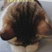 ヒメ日記 2025/03/19 18:12 投稿 ありさ 奥様の実話 谷九店