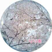 ヒメ日記 2026/04/03 10:33 投稿 森下りりあ 西船橋快楽Ｍ性感倶楽部～前立腺マッサージ専門～