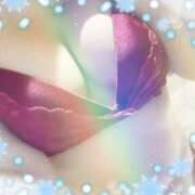 ヒメ日記 2025/07/19 23:56 投稿 みりや【新宿店】 池袋ハート