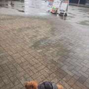 ヒメ日記 2025/10/22 17:24 投稿 める ルージュ