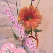 ヒメ日記 2025/11/01 19:01 投稿 める ルージュ