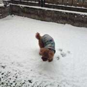 める おはようございます^^ ルージュ