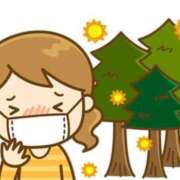 ヒメ日記 2026/02/28 17:01 投稿 める ルージュ