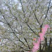 める 先月も…♡♡♡ ルージュ