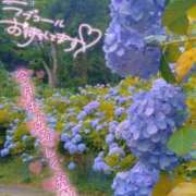 ヒメ日記 2026/07/05 09:56 投稿 める ルージュ