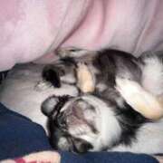 ヒメ日記 2024/12/18 01:33 投稿 Lala~らら~ Elegance（エレガンス）(大阪)