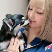 ヒメ日記 2025/01/10 21:55 投稿 Lala~らら~ Elegance（エレガンス）(大阪)