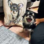 ヒメ日記 2025/01/22 20:15 投稿 Lala~らら~ Elegance（エレガンス）(大阪)