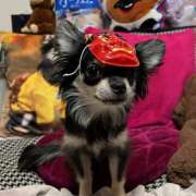 ヒメ日記 2025/02/02 22:41 投稿 Lala~らら~ Elegance（エレガンス）(大阪)