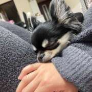 ヒメ日記 2025/04/06 21:22 投稿 Lala~らら~ Elegance（エレガンス）(大阪)