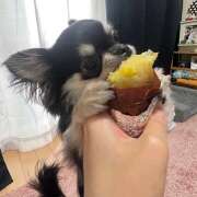 ヒメ日記 2025/05/01 23:18 投稿 Lala~らら~ Elegance（エレガンス）(大阪)