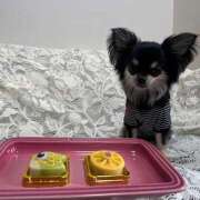 ヒメ日記 2025/05/05 23:13 投稿 Lala~らら~ Elegance（エレガンス）(大阪)