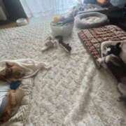 ヒメ日記 2025/05/13 13:59 投稿 Lala~らら~ Elegance（エレガンス）(大阪)