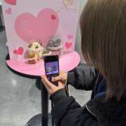 ヒメ日記 2026/02/06 01:35 投稿 Lala~らら~ Elegance（エレガンス）(大阪)