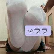 ヒメ日記 2026/10/12 11:50 投稿 らら 大阪フェチクラブ