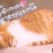 ヒメ日記 2025/03/22 23:00 投稿 りく マリアージュ熊谷