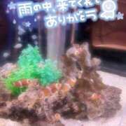 ヒメ日記 2025/06/11 08:40 投稿 りく マリアージュ熊谷