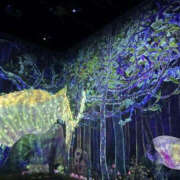 ヒメ日記 2025/02/13 11:03 投稿 ひかる シャロン横浜