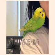 ヒメ日記 2025/12/31 07:30 投稿 ひかる シャロン横浜