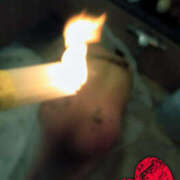 ヒメ日記 2025/12/25 08:51 投稿 ユラ TIFFIN