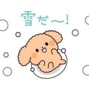 ヒメ日記 2024/12/22 11:58 投稿 みゆき 白いぽっちゃりさん仙台店