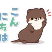 ヒメ日記 2024/12/29 11:58 投稿 みゆき 白いぽっちゃりさん仙台店