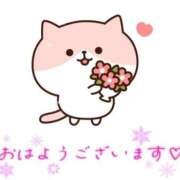 ヒメ日記 2025/01/22 11:58 投稿 みゆき 白いぽっちゃりさん仙台店