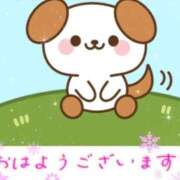 ヒメ日記 2025/03/09 11:28 投稿 みゆき 白いぽっちゃりさん仙台店