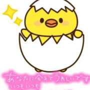 ヒメ日記 2025/03/29 15:21 投稿 みゆき 白いぽっちゃりさん仙台店