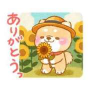 ヒメ日記 2025/07/15 15:58 投稿 みゆき 白いぽっちゃりさん仙台店