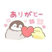 ヒメ日記 2025/09/09 15:38 投稿 みゆき 白いぽっちゃりさん仙台店