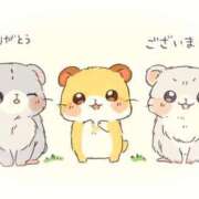 ヒメ日記 2025/12/28 14:24 投稿 みゆき 白いぽっちゃりさん仙台店