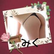 ヒメ日記 2025/03/30 03:38 投稿 安田みく 柏東口ママ友さーくる