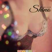 ヒメ日記 2024/12/28 12:52 投稿 シノ オーガズム