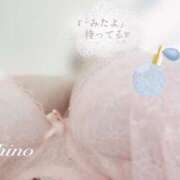 ヒメ日記 2025/01/19 20:16 投稿 シノ オーガズム