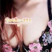 ヒメ日記 2025/02/04 10:49 投稿 シノ オーガズム