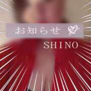 ヒメ日記 2025/02/13 12:49 投稿 シノ オーガズム