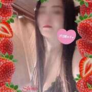 ヒメ日記 2025/02/15 11:38 投稿 シノ オーガズム