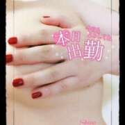 ヒメ日記 2025/02/26 13:44 投稿 シノ オーガズム